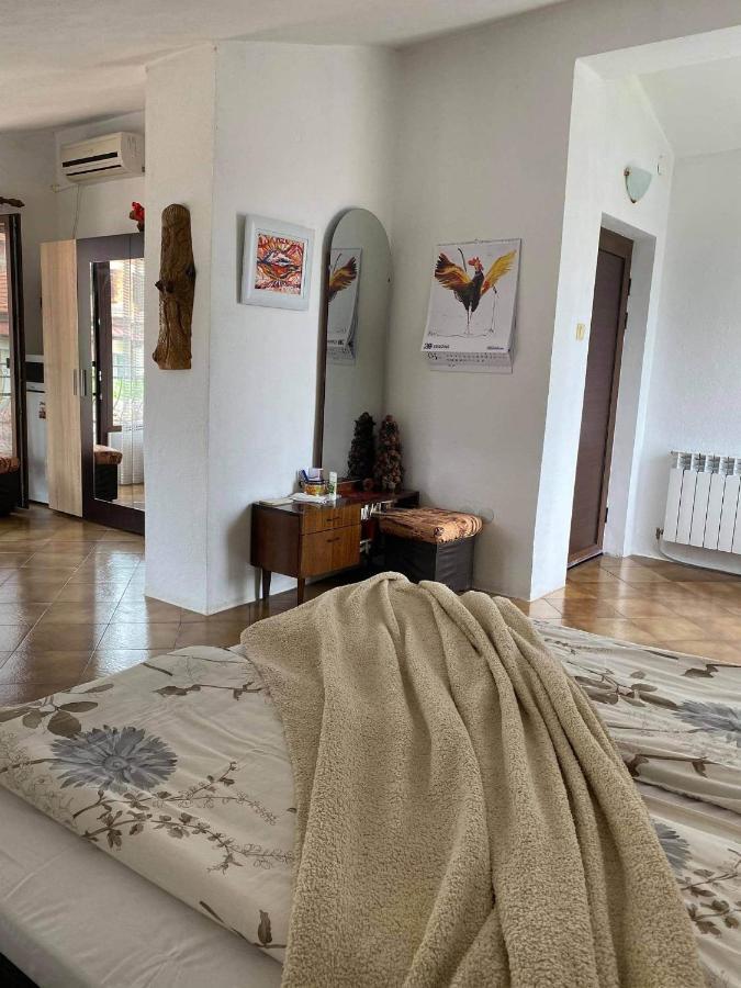 Art Studio Сапарева-Баня Экстерьер фото